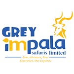 Grey Impala Safaris