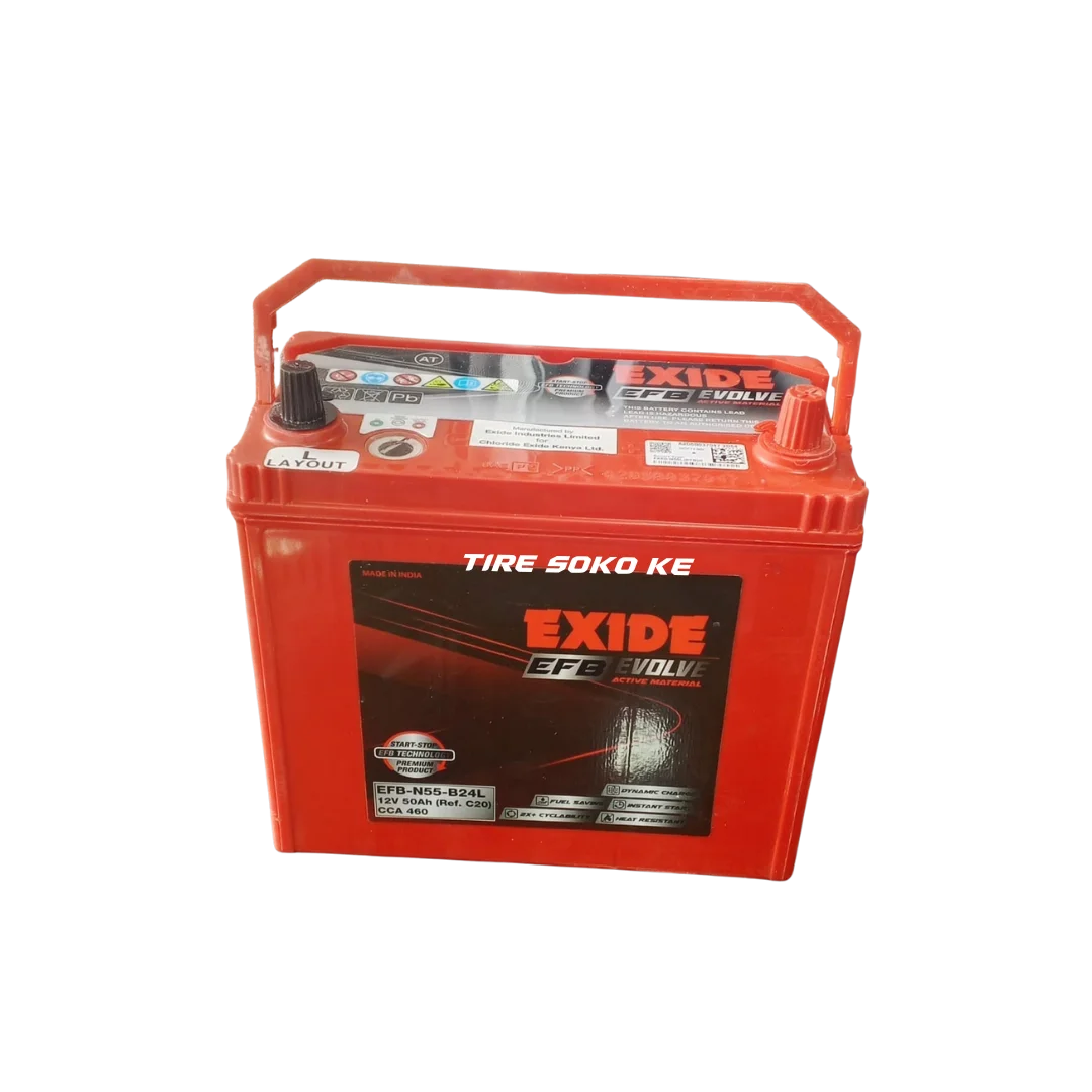 Exide Matrix NS60 Start-Stop Car Battery (EFB N55)