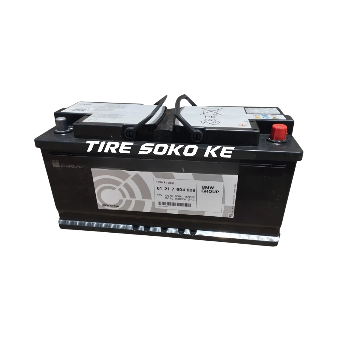 BMW AGM 105 12V 105Ah 950CCA OEM Battery